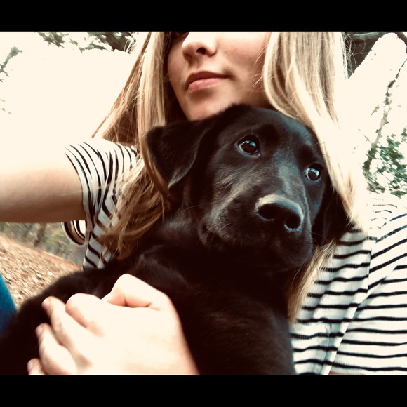 Meet your Posher, Allie - Picture 1 of 1